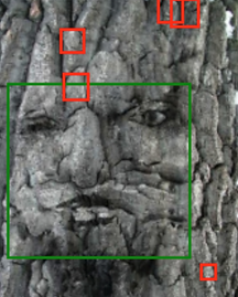 Screen Shot 2020-05-16 at 2.50.56 PM.png