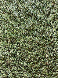 Autumn breeze 28.jpg