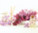 shutterstock_648673903_edited.jpg