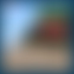 নিস্তব্ধতা ভাঙ্গে সমুদ্রের ঢেউয়ে...