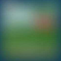 সবুজ বনানী, সুউচ্চ পাহাড়, স্বচ্ছ জলের ঝরনা, সুগন্ধি চায়ের বাগান ঘেরা উত্তর পূর্বের সবথেকে সুন্দর শৈলশহর কাইনা হিল!