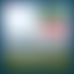 নদীর ধারে নিরিবিলিতে অবসর যাপন!