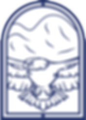 The Purposed Eagle Network