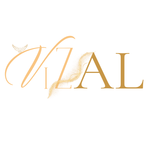 Vizal Logo.png