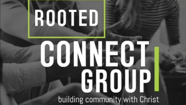 EDITED rooted banner.webp