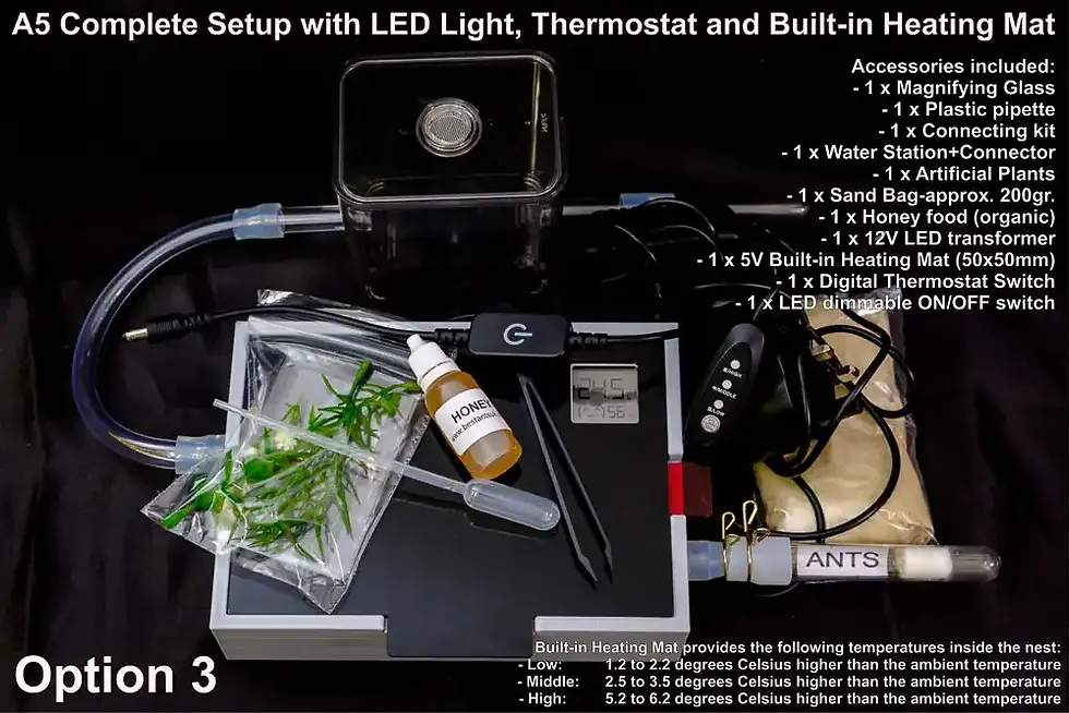 Thumbnail: buy Ant Farm A5 LED with Plaster Smart Bluetooth Meter online bestantsuk