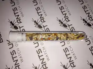 Organic Seed Mix For Harvester Ants(Twin Pack