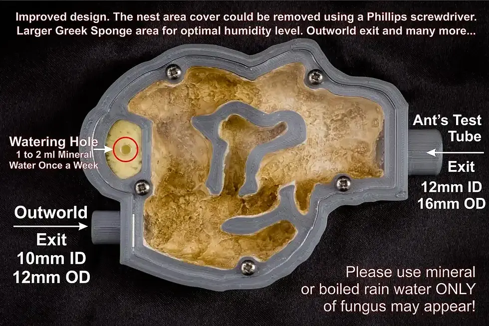 Thumbnail: Buy Ant Farm Starter Kit Live Queen Ant Nest A6P with Plaster Bed Best Ants UK