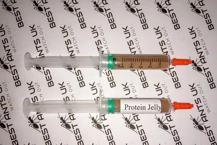 Ant Food Protein Jelly 5ml