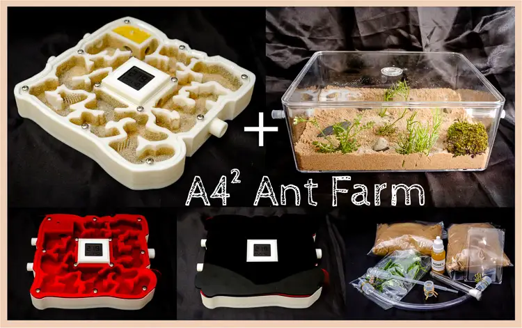 ant farm best ants uk A4-2 PLA Hybrid Ant Setup with Plaster and Smart Meter buy online