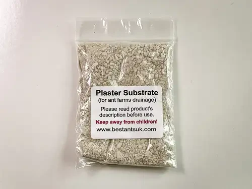 Ant Farm Plaster Substrate Humidity Layer