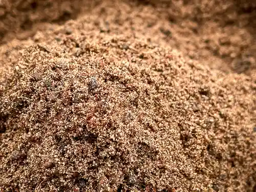 Organic Sand Loam Substrate for Exotic Asian Ants