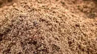 Substrate for Your Ant Farm
