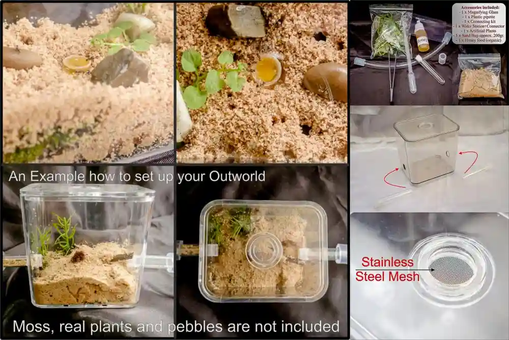 Ant Farm A6 with Meter Best Ants UK Ant Hybrid Nest Ant Formicarium