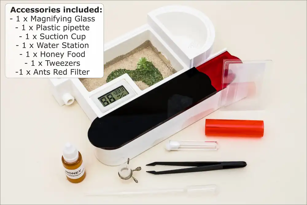 Claire Complete Ant Farm Starter Kit