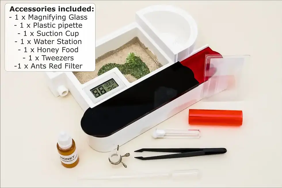 Thumbnail: Ant Farm Kit Claire Complete Ant Starter Kit Live queen ant colony best ants UK