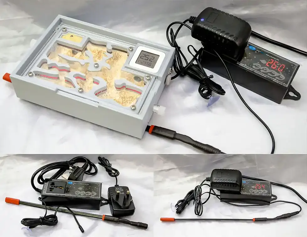 Thumbnail: buy Ant Farm A5 LED with Plaster Smart Bluetooth Meter online bestantsuk
