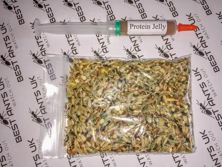 Ant Food Bundle Organic Seeds and Protein Jelly