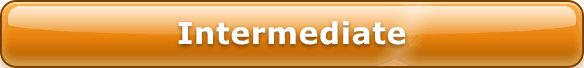 Intermediate level