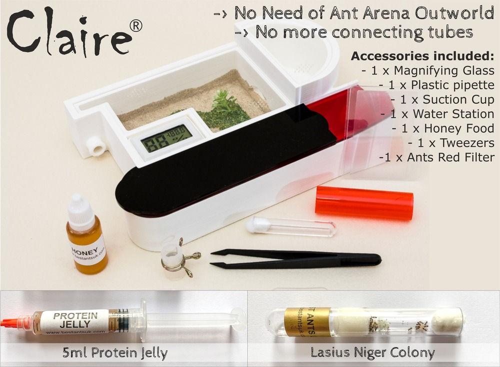Ant Farm Kit Claire Complete Ant Starter Kit Live queen ant colony best ants UK