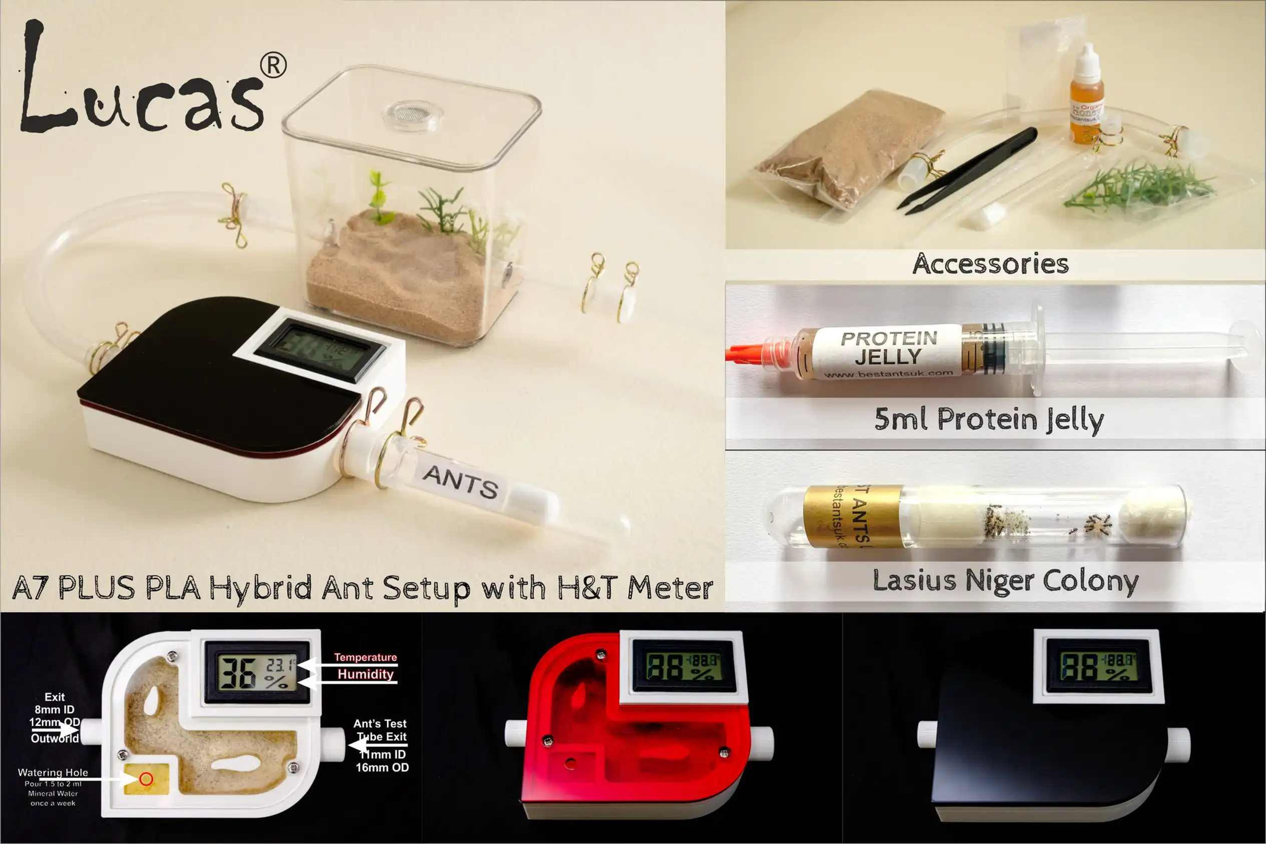 Ant Farm for kids beginner ants keeper nest with formicarium