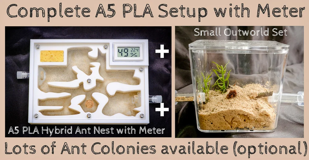 Ant Farm Kit A5 M PLA Starter Set Live Queen Ant Nest