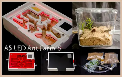 buy Ant Farm A5 LED Sand Smart Bluetooth Meter online bestantsuk