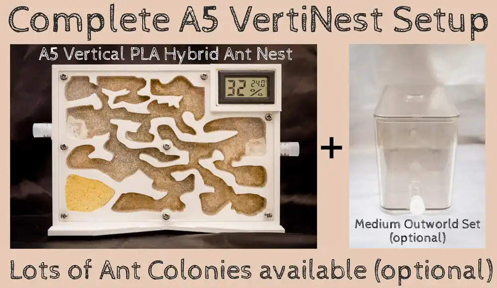 Ant Farm Kit Vertical Live Queen Ant Colony Nest A5