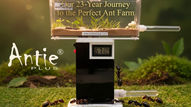 Ant Farm