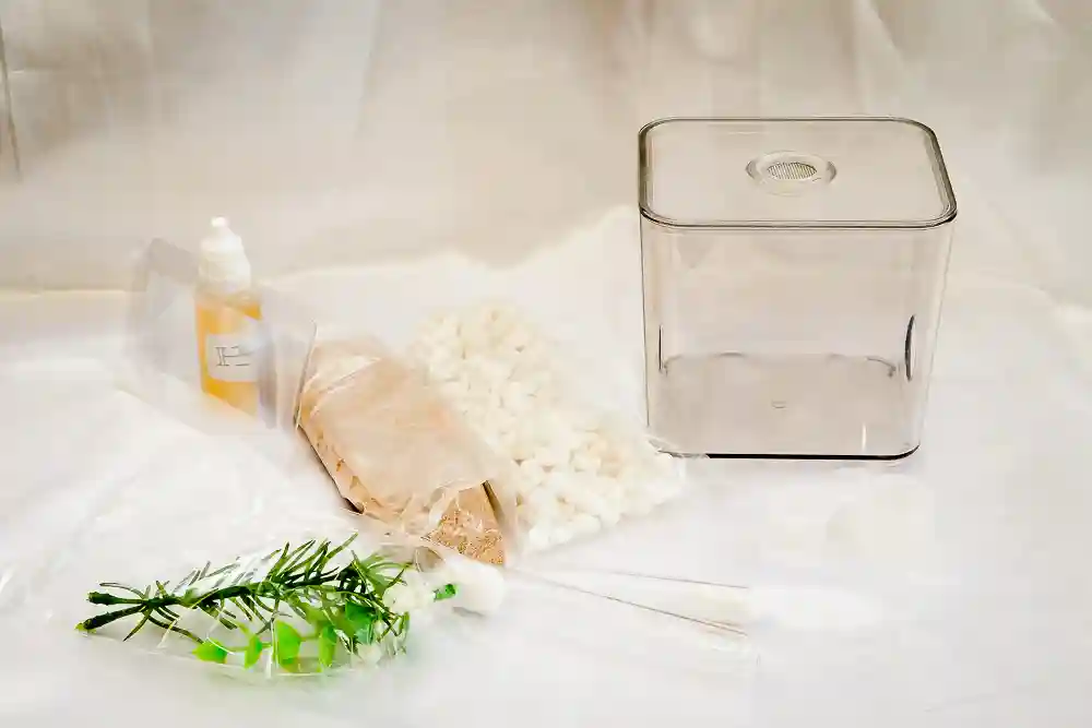 Ant farm starter kit for queen ants foundation nursery nest