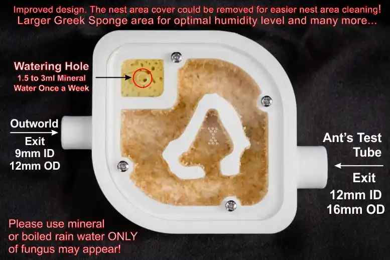 Thumbnail: Ant Farm A7 Wooden Bed Beginner Setup Best Ants UK