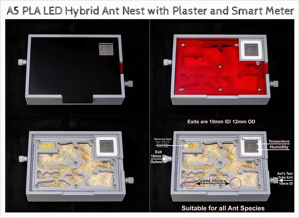 Thumbnail: buy Ant Farm A5 LED with Plaster Smart Bluetooth Meter online bestantsuk