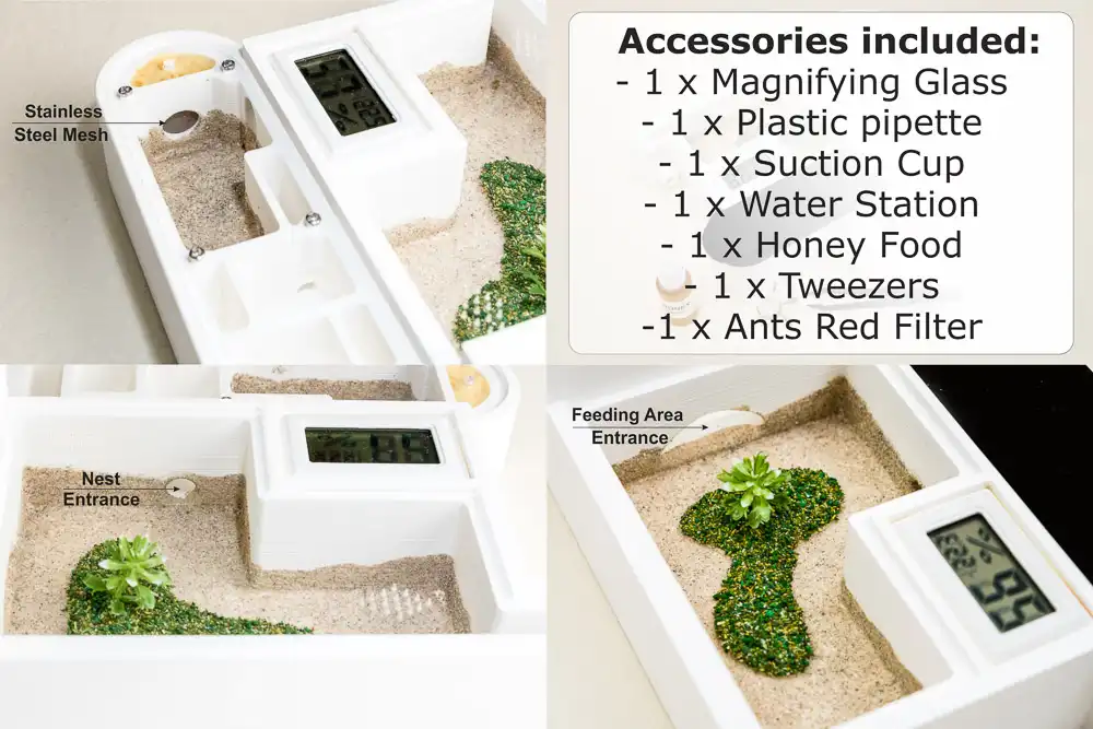 Claire Complete Ant Farm Starter Kit