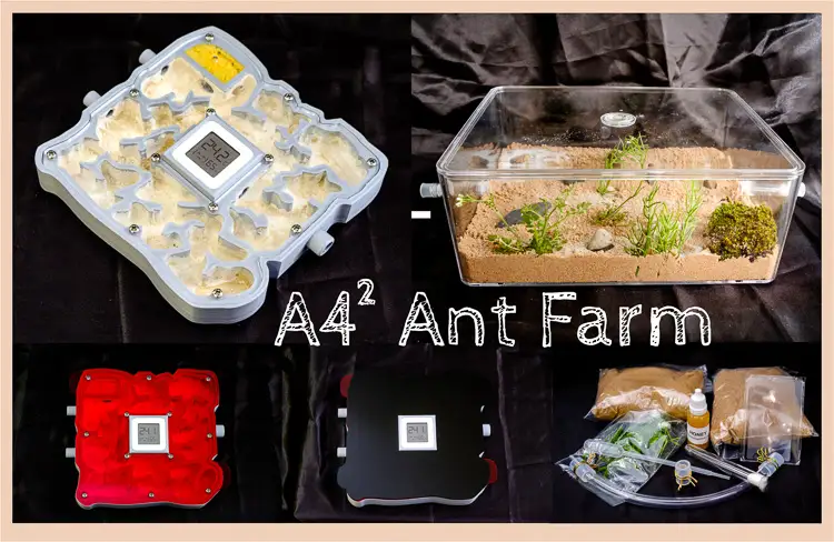 ant farm best ants uk A4-2 with Plaster and Smart Meter