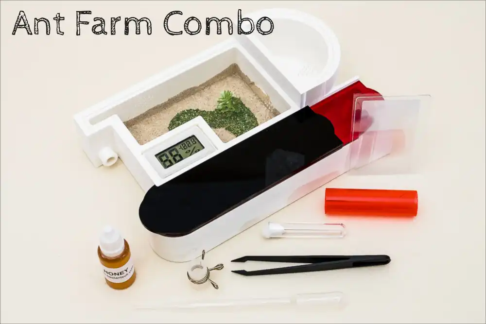 Ant Farm Kit Combo AllinOne Live Queen Ant Nest