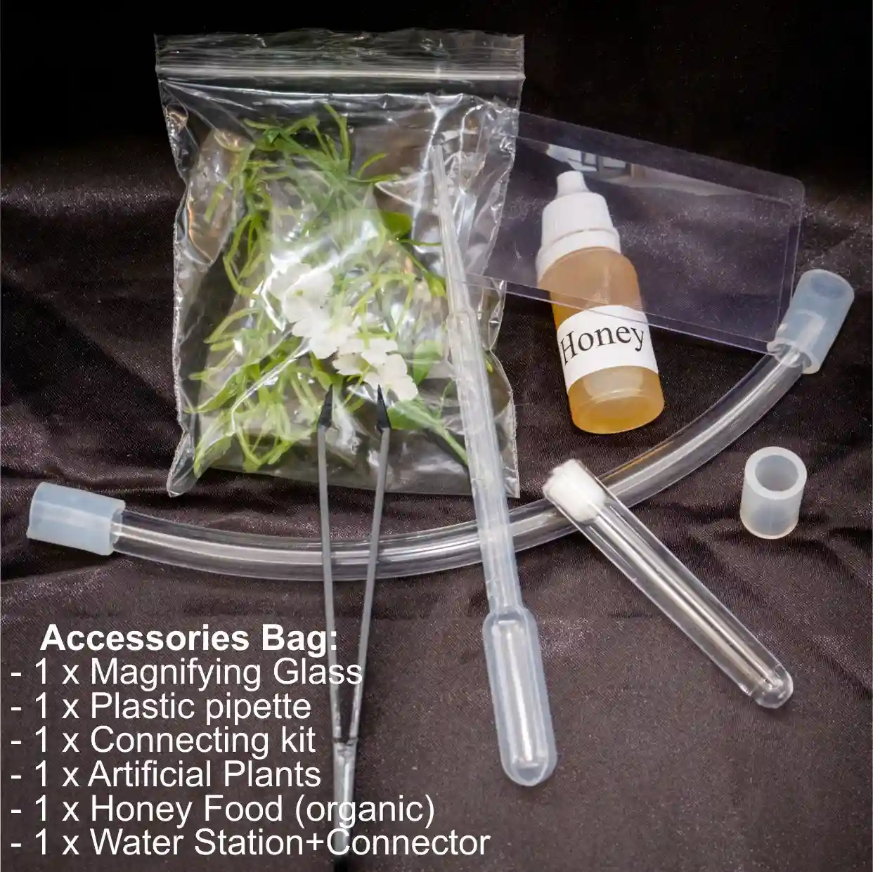 buy Live Queen Ants Farm Ant Accessories Bag at best ants uk