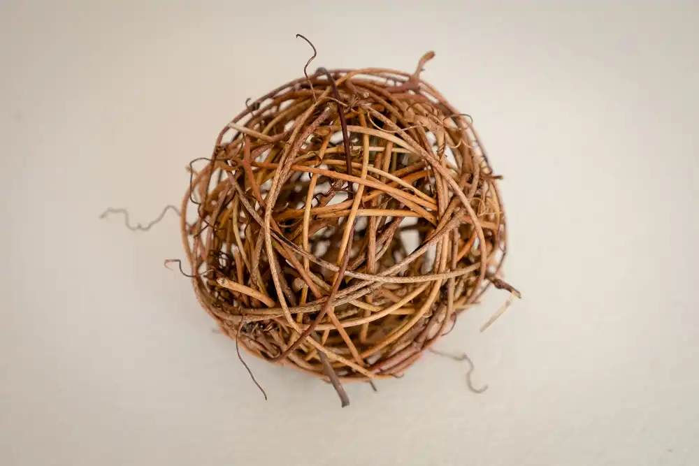 weaver ball for asian ants wicker ant nest rattan