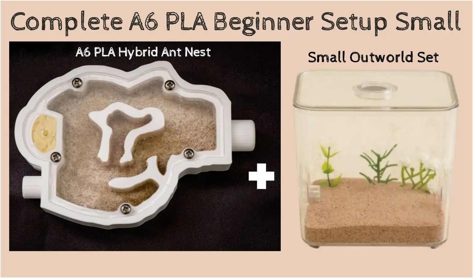 Ant Farm A6 Best Ants UK Ant Hybrid Nest Ant Formicarium