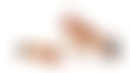 Tetramorium bicarinatum ants care