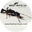 Writer: Pat & Best Ants UK Team