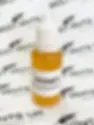 buy Ant Honey Organic 15ml online at best ants UK
