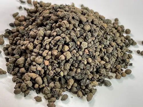 Ant Farm Clay Pebbles Substrate Drainage Layer