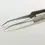 Thumbnail: Fine Tweezers for Ants for sale