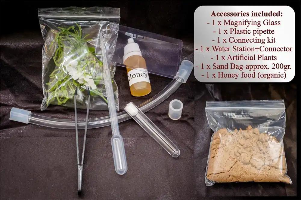 Ant Farm Starter Kit Ants Nest with Plaster