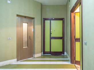Elevator and apartment entrance door