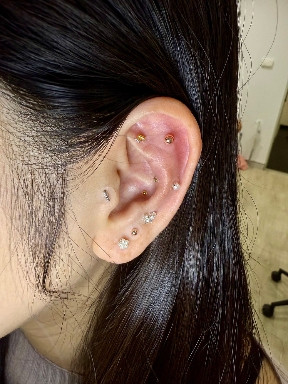 33tubo ear seeds