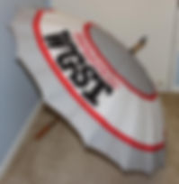 WGST umbrella.jpg