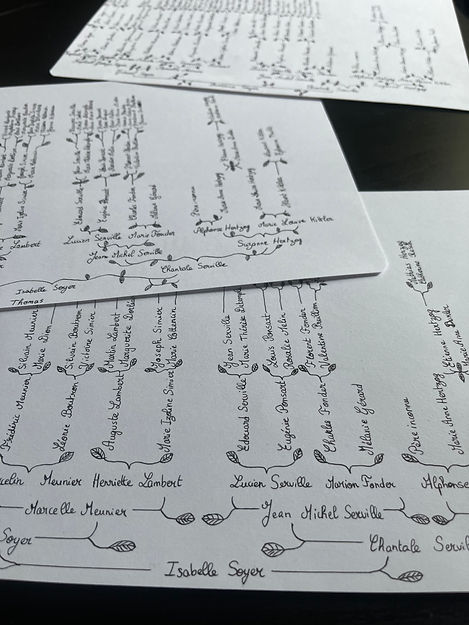 Arbre généalogique généalogie