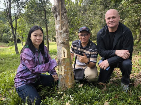 SYNBION STRENGTHENS COLLABORATION WITH UNITED AGARWOOD PLANTERS, INC.