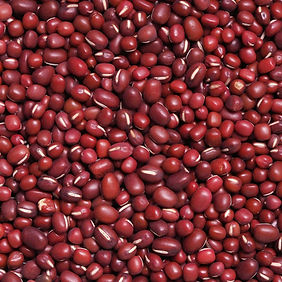 IMG-20251106-WA0000 (1).jpg